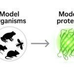 Zamanla antiparitet-zaman simmetriyası enerjini sistemlər vasitəsilə idarə etmək üçün yeni bir yol təqdim edir