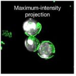 Yeni natrium-kükürd batareyası litiuma daha təhlükəsiz və daha ucuz alternativ təklif edə bilər