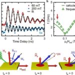 İmmun hüceyrələrində ultrasəslə aktivləşdirilmiş nanopartiküllər hədəf iltihab reaksiyasını tetikler