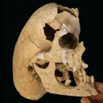 Araşdırma işıqla idarə olunan kimyəvi reaksiyaların niyə tez-tez rabitəni qırmadan əvvəl enerji itirdiyini ortaya qoyur