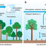 Tədqiqat göstərir ki, körpə kainatın “ilkin şorbası” əslində şorbalı idi
