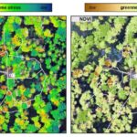 Sual-cavab: Filadelfiyada niyə bu qədər çox bataqlıq var