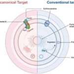 Mühəndislər quraqlıq zamanı bitkilərin dayanıqlığını artırmaq üçün suya qənaət edən qum təbəqəsi yaradırlar