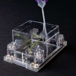 Astronomlar Günəşə bənzər bir ulduzun ətrafında fırlanan sıx super Neptun ekzoplanetini kəşf etdilər