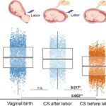 Avropa sistem əsaslı kimyəvi risk qiymətləndirməsinə doğru cəsarətli bir addım atır