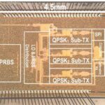 600 ildən çox əvvəl döyüşdə öldürülən Kalatrava Ordenindən olan bir cəngavərdə diaqnoz qoyulmuş Kruzon sindromu