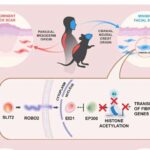 Əhliləşdirmə balqabaq çiçəklərinin arıları cəlb etmək üçün istifadə etdiyi kimyəvi maddələri dəyişdirib