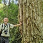 Polimerlərdən kənarda: Yeni müasir 3D mikro və nanofabrikasiya texnikası material məhdudiyyətlərini aradan qaldırır