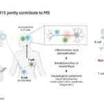 Yeni alət istənilən şəxsə ölkənin metan qazı iddialarını yoxlamağa imkan verir