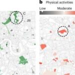 Yeni yol xəritəsi su yollarında dərman çirklənməsinin azaldılması strategiyalarını müəyyən edir
