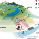Tədqiqat göstərir ki, qida tullantıları kompostu tək əkin qarışığından daha az təsirlidir