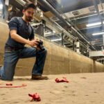 Mangrovların itirilməsi Niger Deltasını daha həssas edir: Meşələrin necə inkişaf etdiyini izləyə biləcək bir model qurduq