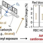 Keniya evlərini sərinləşdirən və ağcaqanadları uzaq tutan iki sadə dəyişiklik