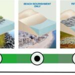 Avstraliyanın ucqar ərazilərində nektar vəziləri görünən yeni kol pomidor növü kəşf edilib