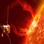 Göz açan tədqiqat: Qrenlandiya köpəkbalıqları əsrlər boyu DNT təmir mexanizmi vasitəsilə görmə qabiliyyətini qoruyurlar