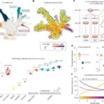 Şüurlu təcrübəni təmin edən neyron mexanizmlərini araşdırmaq