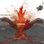 Cinsiyyətsiz yam növləri quşları aldatmaq və daha da uzaqlara yaymaq üçün təqliddən istifadə edir