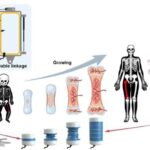 Gələcək şeylərin forması: Sferoid həndəsə çoxhüceyrəli orbit və işğalı necə istiqamətləndirir