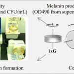Dərin öyrənmə alqoritmləri xərçəngdə mutasiyaların aşkarlanmasını və RNT ardıcıllığını artırır