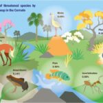 Güclü maqnitlərin yeni sinfi nadir torpaq metallarından qaçınaraq torpaqla zəngin elementlərdən istifadə edir