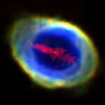 İki mərhələli genom redaktəsi tam uzunluqlu insanlaşdırılmış siçan modellərinin yaradılmasına imkan verir