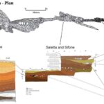 Ən böyük it bağırsaq mikrobiom kataloqu yüzlərlə yeni bakteriya ştammını aşkar edir