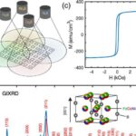 Araşdırma göstərir ki, iki zərərli gen variantı birləşdirildikdə funksiyanı bərpa edə bilər