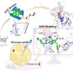 Kvantla gücləndirilmiş interferometriya kiçik lazer şüalarının sürüşmələrinin və əyilmələrinin aşkarlanmasını gücləndirir