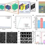 Aysal roverdə yük yığılmasının qarşısını necə almaq olar