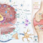 Ağıllı dinamiklər 2-ci tip diabetli yaşlıların zehni sağlamlığını və qan şəkəri səviyyəsini yaxşılaşdıra bilər