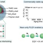 Yeni mikroskopiya texnikası hüceyrənin təbii şəraitini qoruyur