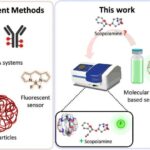 Yeni natrium-kükürd batareyası litiuma daha təhlükəsiz və daha ucuz alternativ təklif edə bilər
