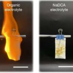 Cinsi təcavüzdə istifadə edilən ümumi bir maddə olan skopolamin aşkar etmək üçün sensor yanır