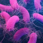 Habbl gərginliyi: İbtidai maqnit sahələri kosmologiyanın ən böyük suallarından birini həll edə bilər