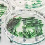 Alimlər super qətnaməli mikroskopiya üçün ucuz və yüksək keyfiyyətli linzalar nümayiş etdirirlər