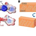 Şənbə Sitatları: İtkin düşmüş dinozavrlar, sakit qara dəliklər və yoluxucu göbələklər