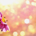 Daş-kağız-qayçı bioloji versiyası kərtənkələ rənglərinin qorunub saxlanılıb-saxlanılmadığını və ya itirilmədiyini necə müəyyən edirPaul Arnold tərəfindən , Phys.org