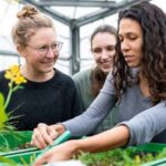 Yumşaq bir mərcan beyin olmadan mükəmməl sinxronizasiyada çadırlarını necə hərəkət etdirir