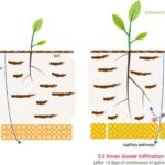 Həyatın əsas tikinti bloklarına işıq salmaqla psixodelik kimi molekullar yaratmaq