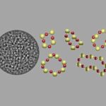 Berberin qaraciyər və qarın yağını azaltmaqda plasebo üzərində heç bir üstünlük göstərmir