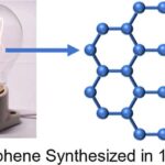 Bağırsaq bakteriyalarının balansına və İBH həssaslığına təsir edən tək bir gen aşkar edilmişdir
