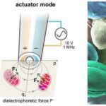 Atmosfer fizikləri Arktika qar örtüyü müşahidələrində geniş istinad edilən səhv tapıblar