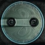 Ayın əyri tərəfli olmasının səbəbi böyük bir toqquşma ola bilər