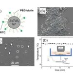 Astronomlar FAST arxiv məlumatlarını təhlil edərək 19 yeni pulsar kəşf etdilər