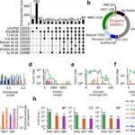 Dəyişdirilmiş mikrobiom: Ağız boşluğundakı bakteriyalar xroniki qaraciyər xəstəliyində rol oynayır, araşdırma göstərir