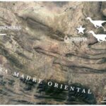 Süni intellekt Alyaskada qəhvəyi ayıların kim olduğunu müəyyən etməyə imkan verir