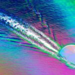 Roadkill elmi tədqiqatlarda canlı vəhşi təbiətə etik alternativ təklif edir