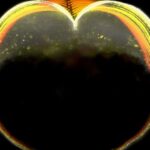 Günəş fizikləri alovlanmaların yaydığı qamma şüalarının çoxdan gizlədilmiş mənbəyini kəşf etdilər