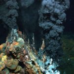 Avropa sistem əsaslı kimyəvi risk qiymətləndirməsinə doğru cəsarətli bir addım atır