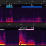 Ulayan meymun nəriltiləri bədən ölçülərini şişirdir, lakin digər ulayanlara doğrudurlar